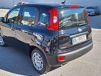 gebraucht Fiat Panda / Pandina MY25
