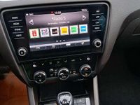 gebraucht Skoda Octavia Scout Octavia 2,0 TDI 4x4 DSG Scout