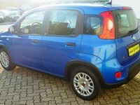 gebraucht Fiat Panda 1,0 GSE 70HP ''NUR 1.650 km !!!!!''