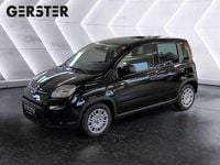 Gebraucht Fiat Panda 69 PS (50 kW) 2025 Schwarz Kleinwagen