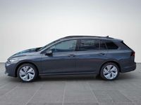 gebraucht VW Golf VIII Variant Business TDI DSG