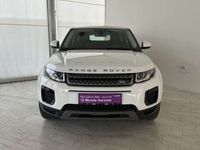 gebraucht Land Rover Range Rover evoque Pure 2,0 TD4 Aut. Allrad