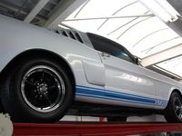 gebraucht Ford V8 Mustang 289 Fastback