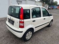 gebraucht Fiat Panda 1,1 City EXPORT ODER HÄNDLER !!!