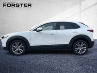 Gebraucht Mazda CX-30 122 PS (89 kW) 2019 SUV