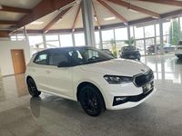 gebraucht Skoda Fabia Selection