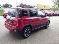 gebraucht Fiat Panda 4x2 FireFly Hybrid 70 (Red)
