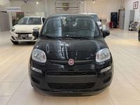 Neu Fiat Panda Icon 69 PS (50 kW) 2025 Limousine