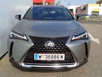 gebraucht Lexus UX 250h Style Edition 1.4kWh Aut. FLA KAM