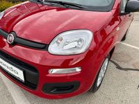 gebraucht Fiat Panda 1,0 FireFly Hybrid 70
