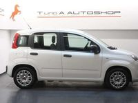 gebraucht Fiat Panda FireFly Hybrid (70)