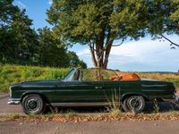 Gebraucht Mercedes 250 SE 231 PS (169 kW) 1967 Grün Cabrio