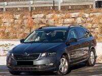 Gebraucht Skoda Octavia Style 116 PS (85 kW) 2019 Grau Kombi