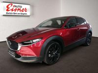 gebraucht Mazda CX-30 X186 HOMURA BIG DEAL & AHK