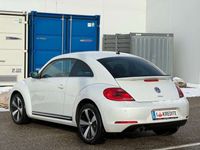 gebraucht VW Beetle Sport*LED*Xenon*Öamtc*Temp-Kredit*R-Line*Design