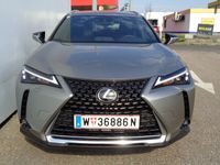 gebraucht Lexus UX 250h Style Edition 1.4kWh Aut.