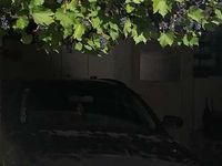 gebraucht Audi A4 Avant 20 TDI DPF