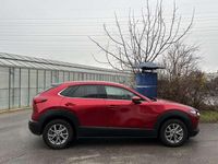 Gebraucht Mazda CX-30 Comfort 122 PS (89 kW) 2021 Rot SUV
