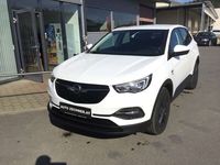 Gebraucht Opel Grandland X Edition 131 PS (96 kW) 2019 SUV