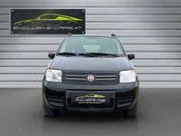 gebraucht Fiat Panda 4x4 1.2 8V Climbing