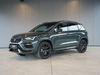 Neu Cupra Ateca 190 PS (139 kW) 2026 Dunkelgrün metallic SUV