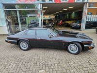 gebraucht Jaguar XJS 6.0 Liter absoluter Sammler Zustand 1.te Han