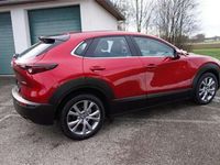 gebraucht Mazda CX-30 G122 Comfort+