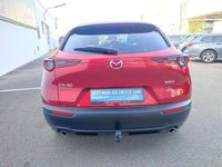 gebraucht Mazda CX-30 G122 Comfort+/SO/ST // monatlich ab € 247,- //