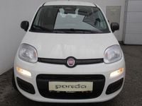 gebraucht Fiat Panda FireFly Hybrid 70 Icon