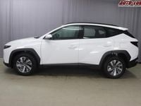 Gebraucht Hyundai Tucson 150 PS (110 kW) 2023 Polar white SUV