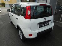 gebraucht Fiat Panda 4x2 FireFly Hybrid 70