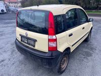 gebraucht Fiat Panda 4x4 1.2 8V Trekking Allrad Export