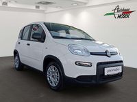 gebraucht Fiat Panda 4x2 FireFly Hybrid 70