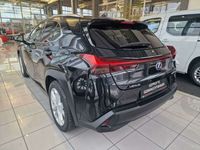 gebraucht Lexus UX 250h Executive E-four 1,4kWh Aut.