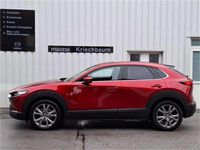 gebraucht Mazda CX-30 G122 Comfort+/SO/ST Aut.