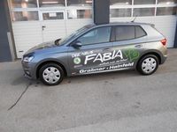 gebraucht Skoda Fabia Ambition