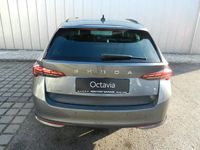 gebraucht Skoda Octavia Combi Selection TDI DSG