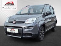 Gebraucht Fiat Panda 4x4 Wild 84 PS (61 kW) 2020 Grau Kleinwagen