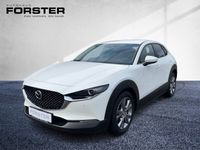 Gebraucht Mazda CX-30 122 PS (89 kW) 2019 SUV