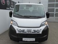 Neu Fiat Ducato S 140 PS (102 kW) 2025 Van