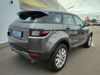 gebraucht Land Rover Range Rover evoque Pure 20 TD4 Automatik // monatlich ab € 294- //