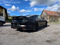 gebraucht Ford Mustang GT 5,0 Ti-VCT V8