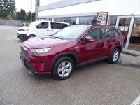 Gebraucht Toyota RAV4 Hybrid Active 178 PS (130 kW) 2019 Rot SUV
