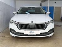 Gebraucht Skoda Octavia Business Line 116 PS (85 kW) 2020 Weiß Kombi