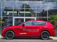 gebraucht Mazda CX-60 3.3L e-SKYACTIV D AWD HOMURA Aut. HUD Navi
