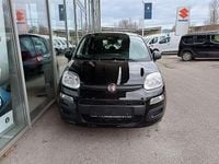 gebraucht Fiat Panda Cross Sonstige Pandina FireFly Hybrid 70