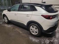 Gebraucht Opel Grandland X Ultimate 131 PS (96 kW) 2021 Weiß SUV