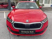 gebraucht Skoda Octavia Combi 4x4 Ambition TDI DSG