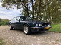 Gebraucht Jaguar XJ12 318 PS (233 kW) 1993 Blau Limousine