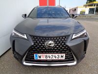 gebraucht Lexus UX 250h Style Edition 1.4kWh Aut.